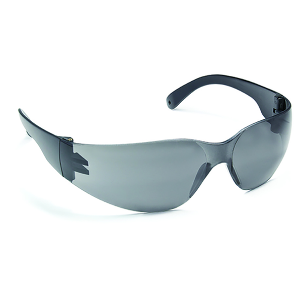 Lunettes de protection Sigma Coverguard