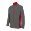 GRIS / ROUGE