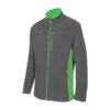 GRIS / VERT