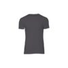 GRIS ANTHRACITE